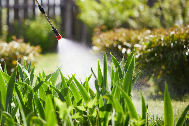 Tamper-Resistant Bait Stations for Rodents in Bloomville