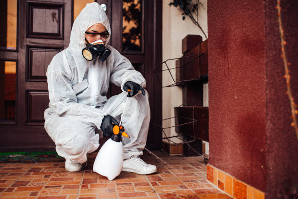 Attic and Crawl Space Rodent Treatment in Bloomville