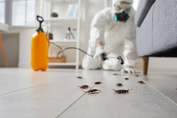 Commercial Rodent Management in Bloomville